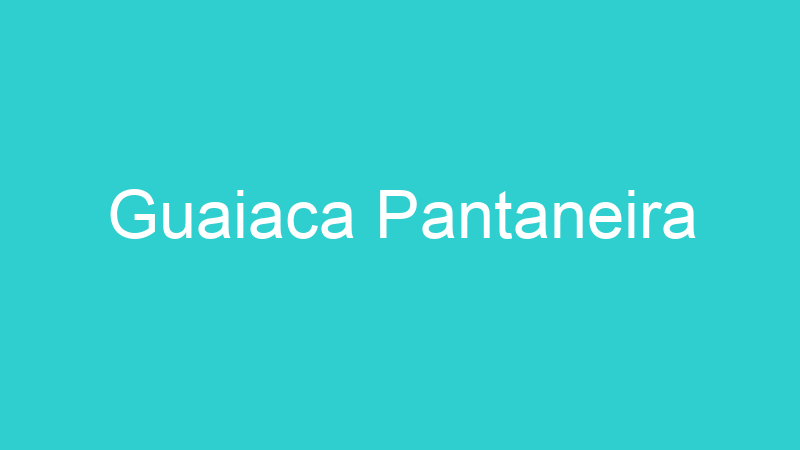 Guaiaca Pantaneira