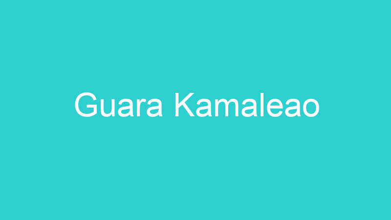 Guara Kamaleao