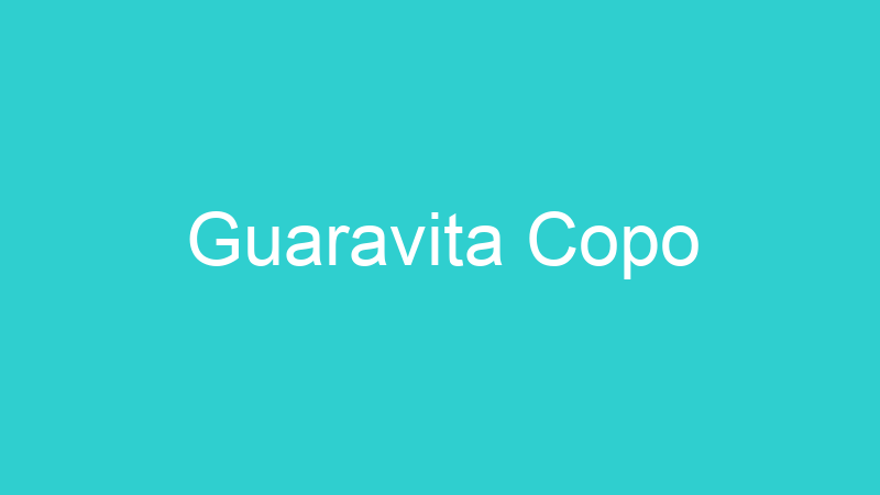 Guaravita Copo