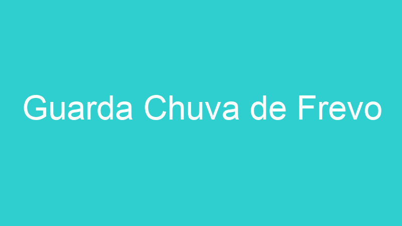 Guarda Chuva de Frevo