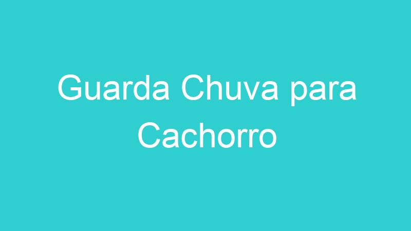 Guarda Chuva para Cachorro