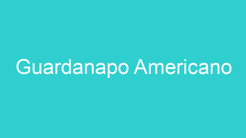 Guardanapo Americano