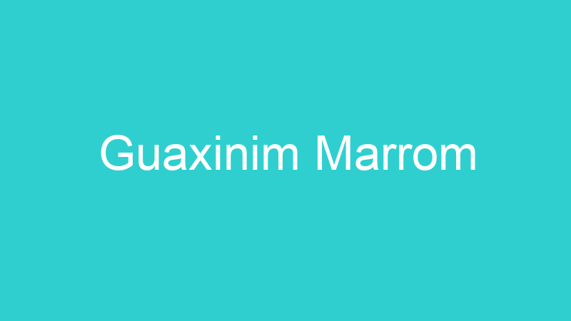 Guaxinim Marrom