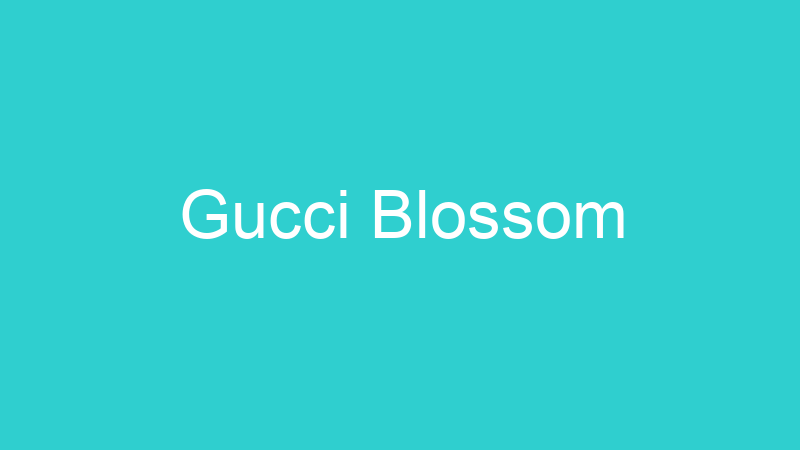 Gucci Blossom