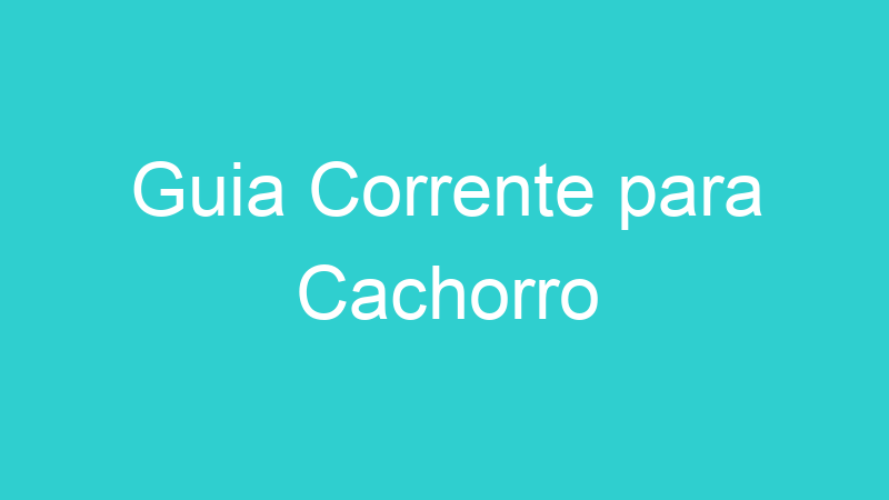 Guia Corrente para Cachorro