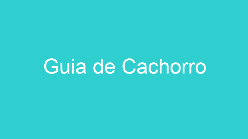Guia de Cachorro