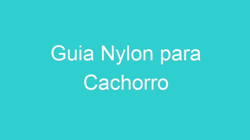 Guia Nylon para Cachorro