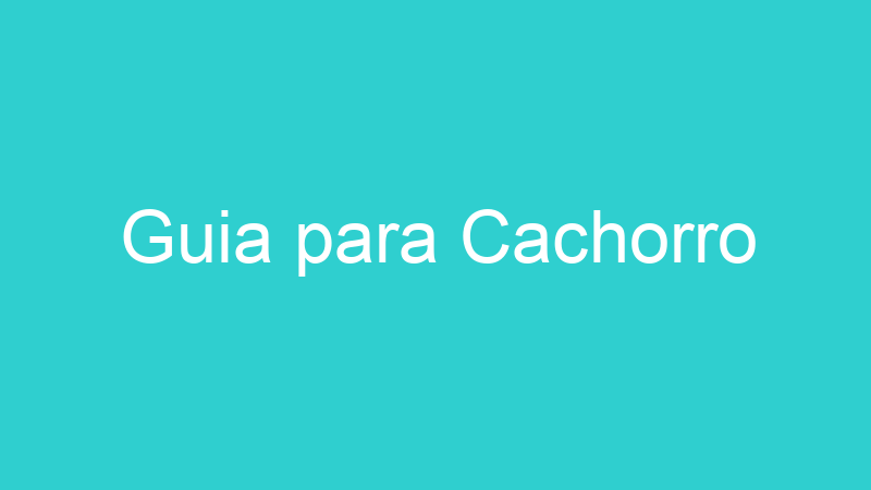 Guia para Cachorro