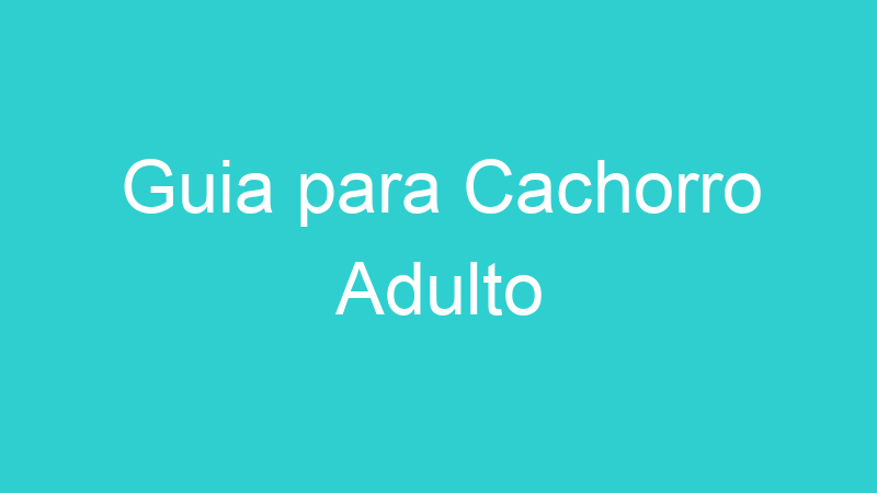 Guia para Cachorro Adulto