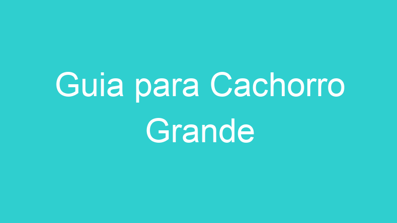 Guia para Cachorro Grande