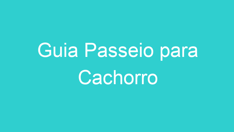 Guia Passeio para Cachorro