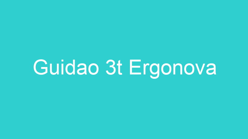 Guidao 3t Ergonova