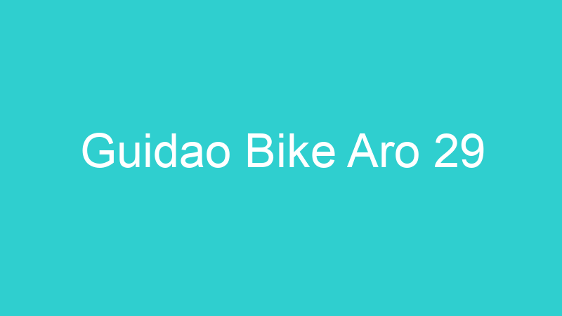 Guidao Bike Aro 29