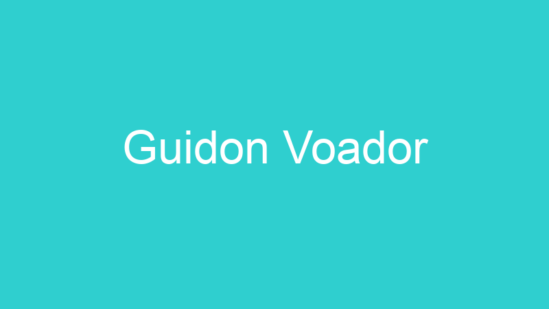Guidon Voador