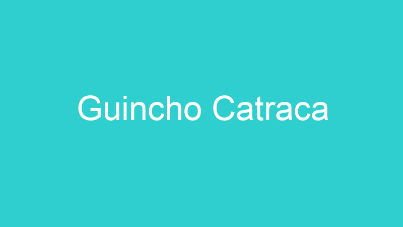 Guincho Catraca