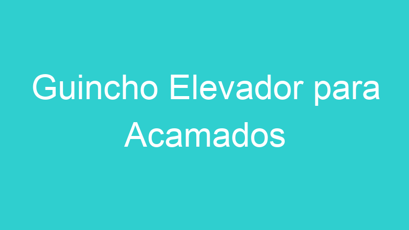 Guincho Elevador para Acamados