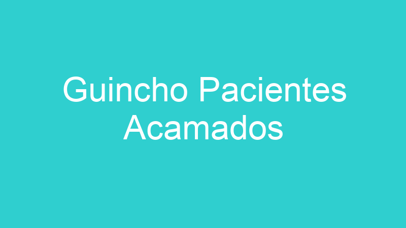 Guincho Pacientes Acamados