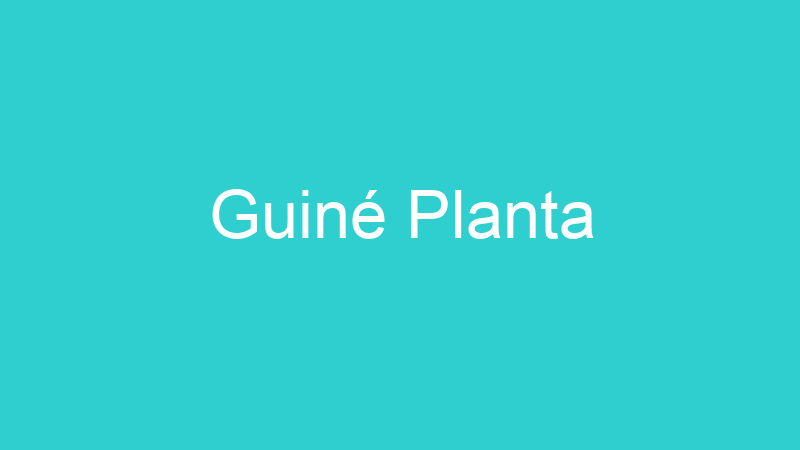 Guiné Planta