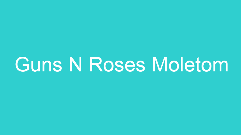 Guns N Roses Moletom
